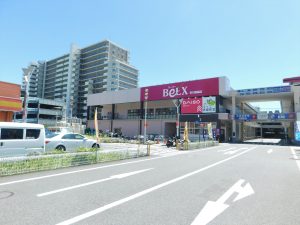 ベルクス市川鬼高店：徒歩5分（348ｍ）