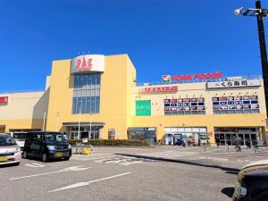 ヨークフーズ新柏店：600m